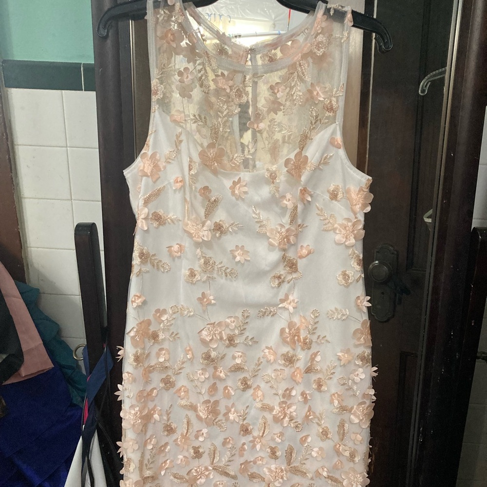 Adrianna Papel dress I were once size 10 mini women